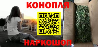 винт Донецк