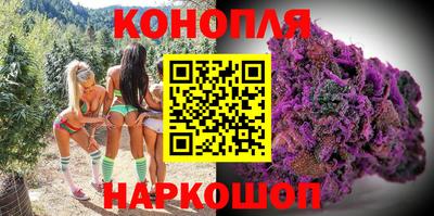 винт Донецк