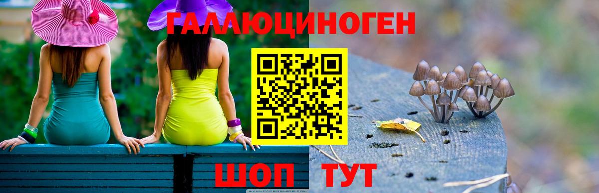 Тюмень  Галлюциногенные грибы Psilocybe  Вход с VPN 